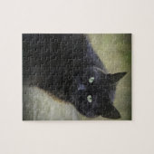 Zwarte mannelijke kat met groene ogen legpuzzel (Horizontaal)