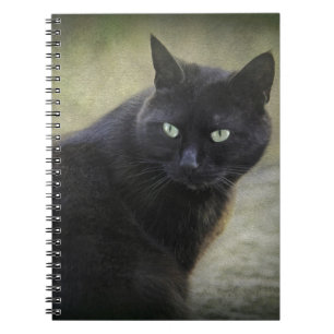 Zwarte mannelijke kat met groene ogen notitieboek