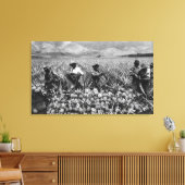 Zwarte Mannen die ananas plukken bij de oogst - Canvas Afdruk (Insitu (Woonkamer))