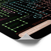 Zwarte metabolisatieroute van de cel poster (Hoek)