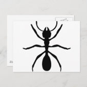 zwarte mier briefkaart (Voorkant / Achterkant)