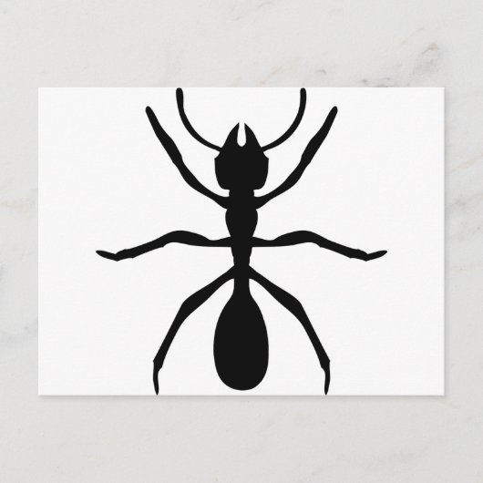 zwarte mier briefkaart (Voorkant)