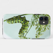 Zwarte moerasstaart met staartpeterselie Case-Mate iPhone case (Achterkant (horizontaal))