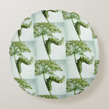 Zwarte moerasstaart met staartpeterselie