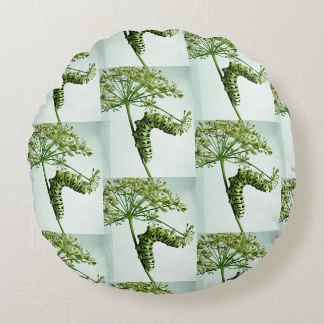 Zwarte moerasstaart met staartpeterselie rond kussen (Voorkant)