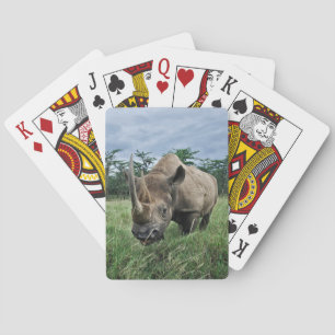 Zwarte Neushoorn Kenia Pokerkaarten