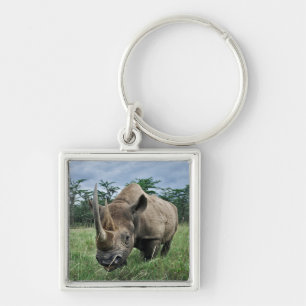 Zwarte Neushoorn Kenia Sleutelhanger