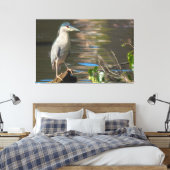 Zwarte Night Heron Canvas Afdruk (Insitu (Slaapkamer))
