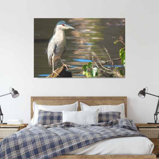Zwarte Night Heron Canvas Afdruk (Insitu (Slaapkamer))