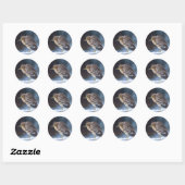 Zwarte Night-Heron Ronde Sticker (Vel)