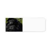 zwarte ogen etiket (Voorkant)