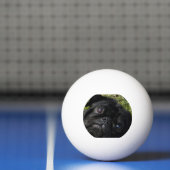 zwarte ogen pingpongballen (Net)