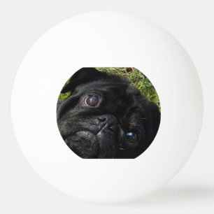 zwarte ogen pingpongballen