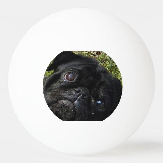 zwarte ogen pingpongballen (Voorkant)