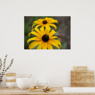 Zwarte-Oog Susanna en Bij Poster