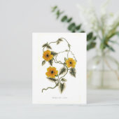 Zwarte-oogige Susan Briefkaart (Staand voorkant)