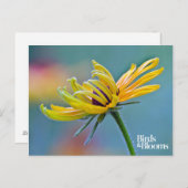 Zwarte-oogige Susan Briefkaart (Voorkant / Achterkant)