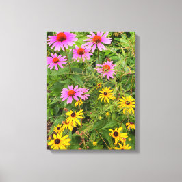 Zwarte-oogige Susan Canvas Afdruk