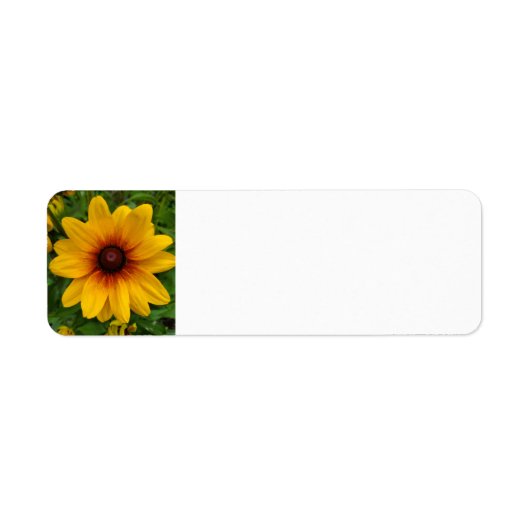 Zwarte-oogige Susan Etiket (Voorkant)