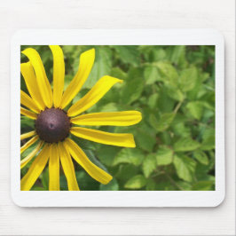 Zwarte-oogige Susan Muismat