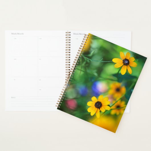Zwarte-oogige Susan Planner (Display)