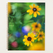 Zwarte-oogige Susan Planner (Voorkant)