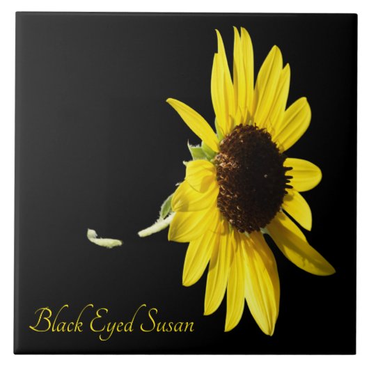 zwarte oogschoran op zwart tegeltje (Voorkant)