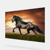 zwarte paard acryl bord (Hoek)
