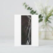 zwarte paard briefkaart (Staand voorkant)