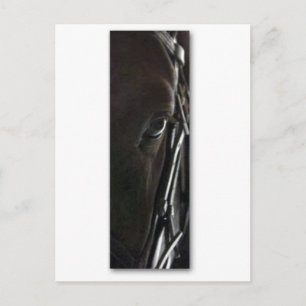 zwarte paard briefkaart