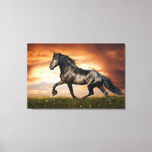 zwarte paard canvas afdruk