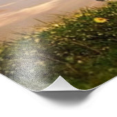 zwarte paard foto afdruk (Hoek)