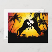 Zwarte paarden briefkaart (Voorkant / Achterkant)