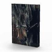 Zwarte paarden fotoblokken (Rechts)