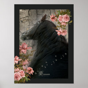 Zwarte paarden - Poster