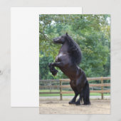 Zwarte paardenkaart bedankkaart (Voorkant / Achterkant)