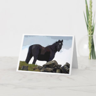 Zwarte paardenkaart kaart