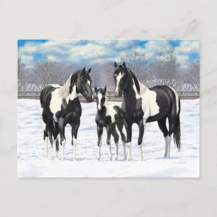 zwarte paardenpestjes met kwartsverf in sneeuw briefkaart