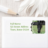 Zwarte paardmaallabels etiket (Insitu)