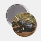 zwarte pad magneet (Voorkant / Achterkant)