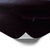 Zwarte panter (3) Wilde kat Poster (Hoek)