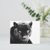 Zwarte Panter Jaguar Briefkaart (Staand voorkant)
