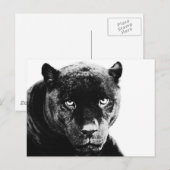 Zwarte Panter Jaguar Briefkaart (Voorkant / Achterkant)
