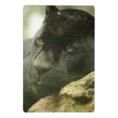 Zwarte panter mini klembord (Achterkant)