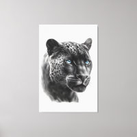 Zwarte panter - potloodtekening