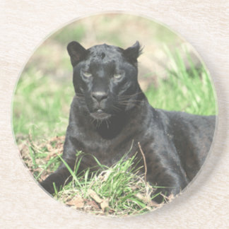 Zwarte panter zandsteen onderzetter