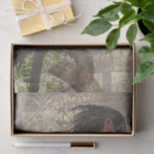 Zwarte parkiet uit de oude doos tissuepapier (Geschenk)