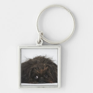 Zwarte pekingese hond die ligt sleutelhanger