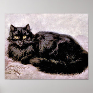 Zwarte Perzische kat Poster