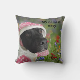 Zwarte Pitbull in een roze Polka Dot Hood – Floral Kussen
